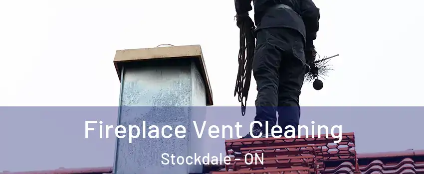  Fireplace Vent Cleaning Stockdale - ON