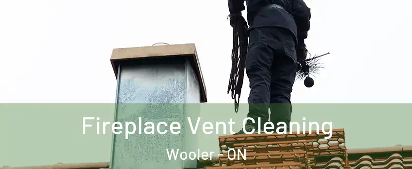  Fireplace Vent Cleaning Wooler - ON
