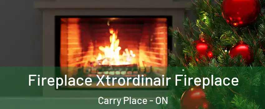  Fireplace Xtrordinair Fireplace Carry Place - ON