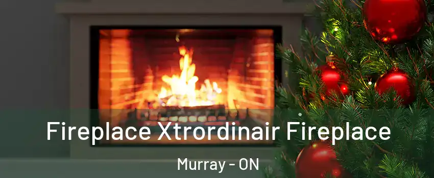  Fireplace Xtrordinair Fireplace Murray - ON