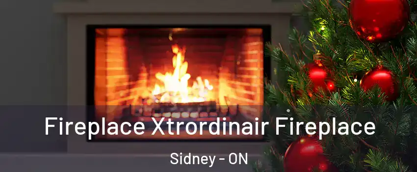  Fireplace Xtrordinair Fireplace Sidney - ON