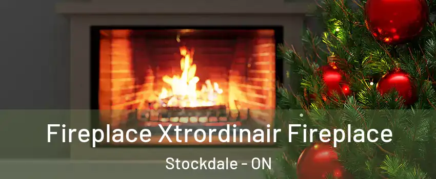  Fireplace Xtrordinair Fireplace Stockdale - ON