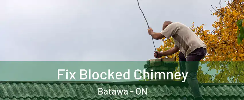 Fix Blocked Chimney Batawa - ON