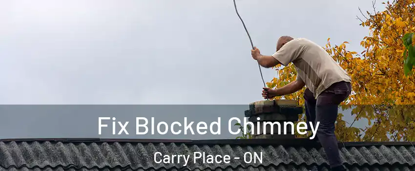  Fix Blocked Chimney Carry Place - ON