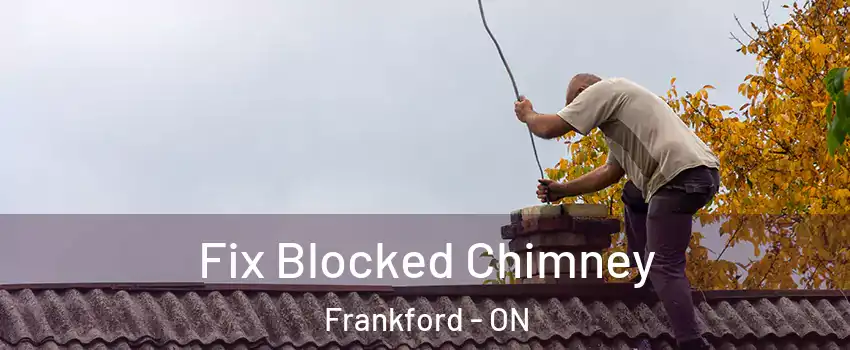  Fix Blocked Chimney Frankford - ON