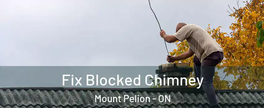  Fix Blocked Chimney Mount Pelion - ON