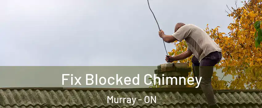  Fix Blocked Chimney Murray - ON