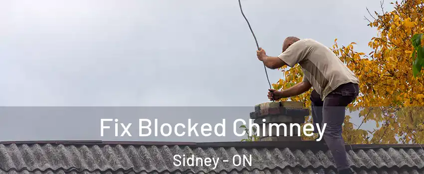  Fix Blocked Chimney Sidney - ON