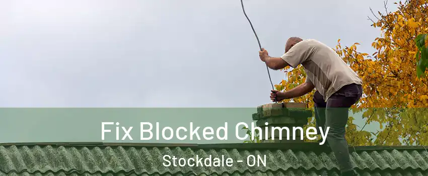  Fix Blocked Chimney Stockdale - ON