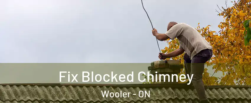  Fix Blocked Chimney Wooler - ON