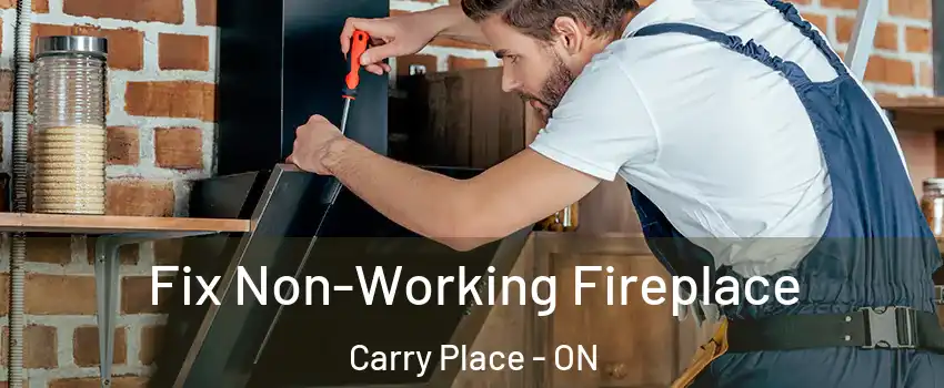  Fix Non-Working Fireplace Carry Place - ON