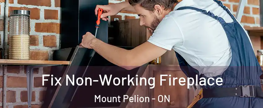  Fix Non-Working Fireplace Mount Pelion - ON