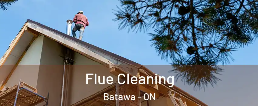  Flue Cleaning Batawa - ON