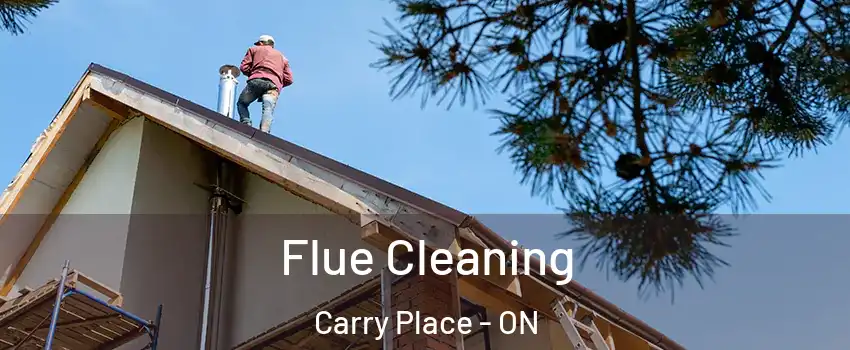  Flue Cleaning Carry Place - ON