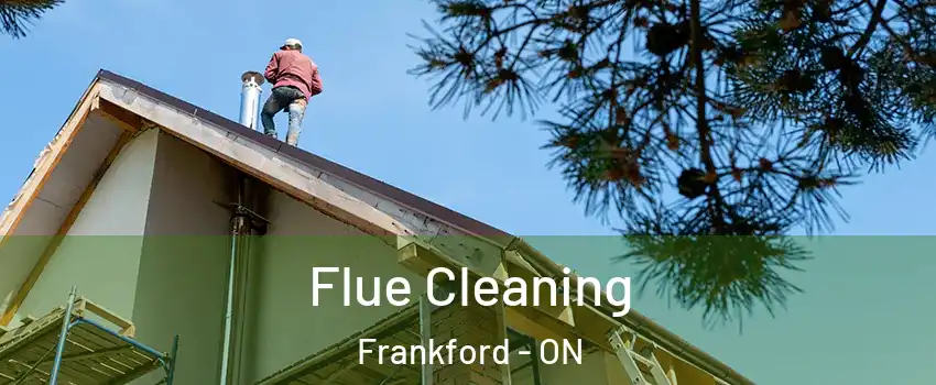  Flue Cleaning Frankford - ON
