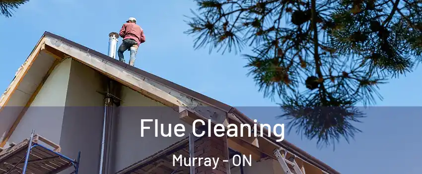  Flue Cleaning Murray - ON