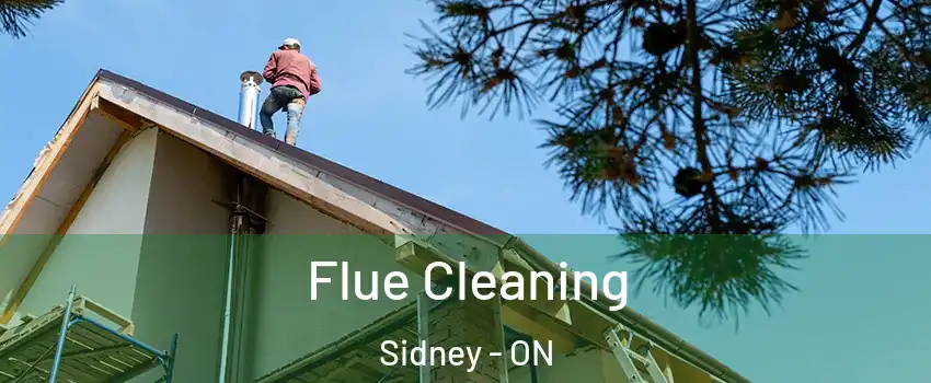  Flue Cleaning Sidney - ON