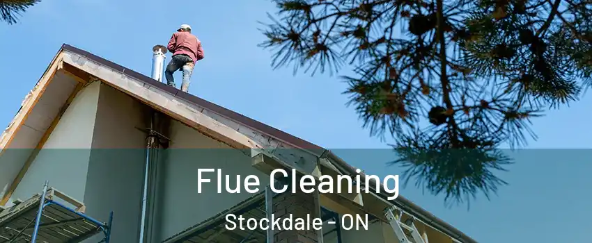  Flue Cleaning Stockdale - ON