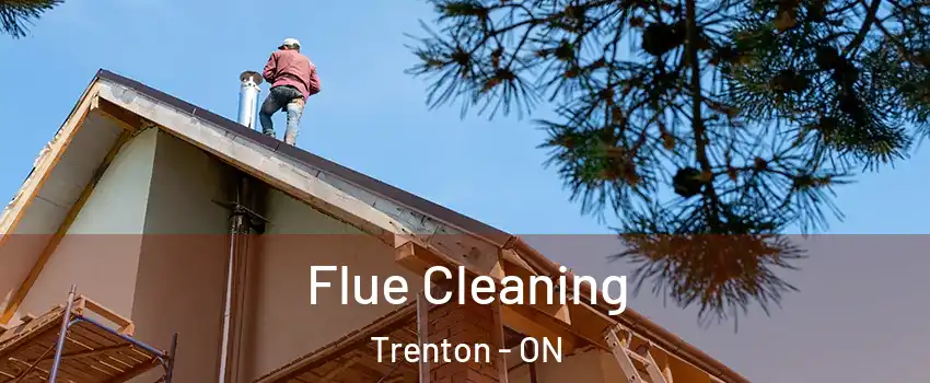  Flue Cleaning Trenton - ON