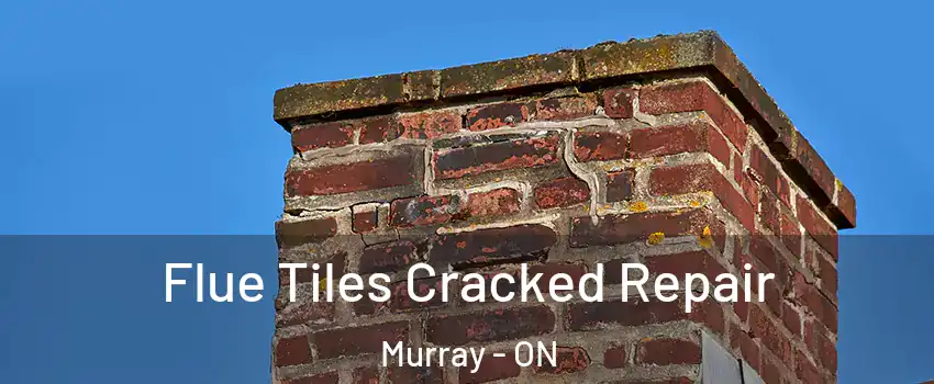  Flue Tiles Cracked Repair Murray - ON