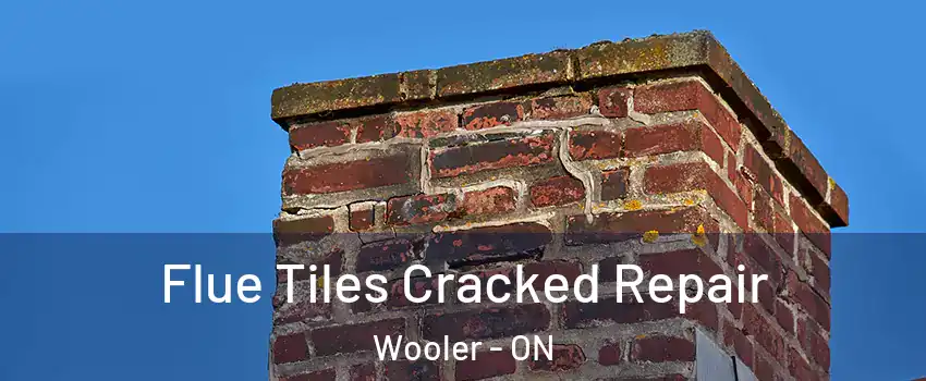 Flue Tiles Cracked Repair Wooler - ON