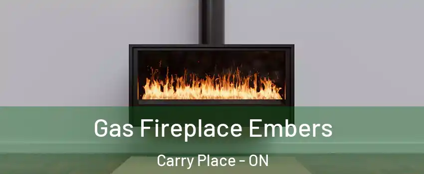  Gas Fireplace Embers Carry Place - ON