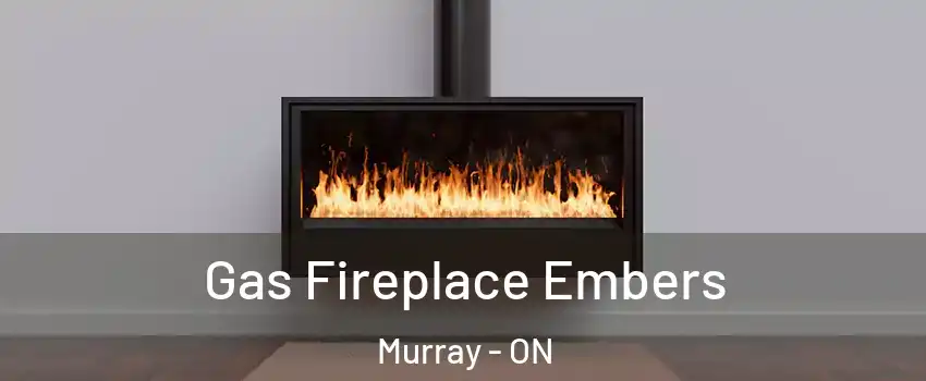  Gas Fireplace Embers Murray - ON