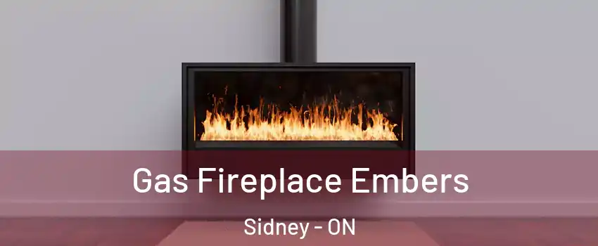  Gas Fireplace Embers Sidney - ON