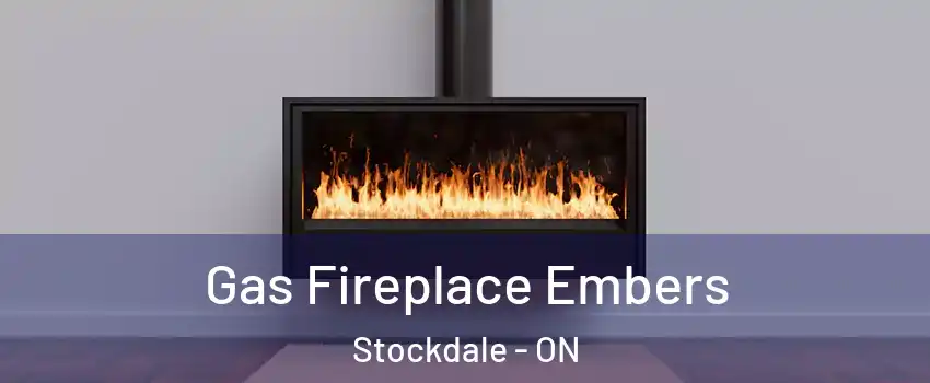  Gas Fireplace Embers Stockdale - ON