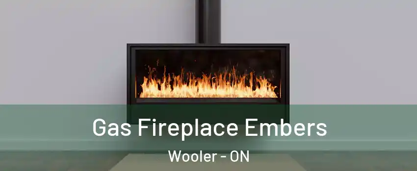  Gas Fireplace Embers Wooler - ON