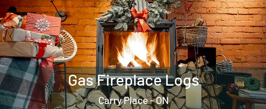  Gas Fireplace Logs Carry Place - ON