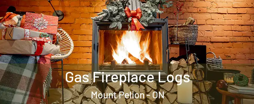  Gas Fireplace Logs Mount Pelion - ON