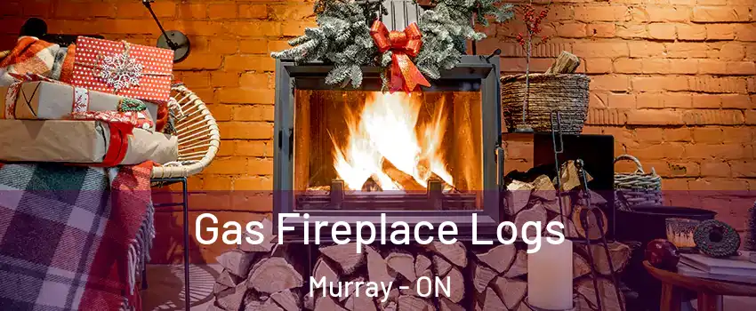  Gas Fireplace Logs Murray - ON