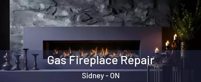  Gas Fireplace Repair Sidney - ON