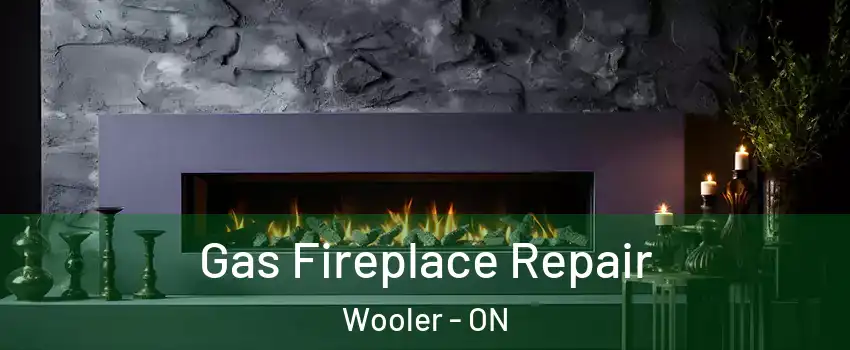  Gas Fireplace Repair Wooler - ON