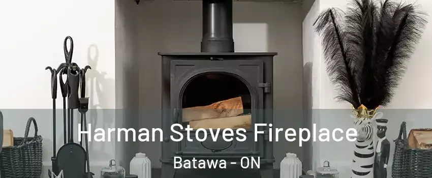  Harman Stoves Fireplace Batawa - ON