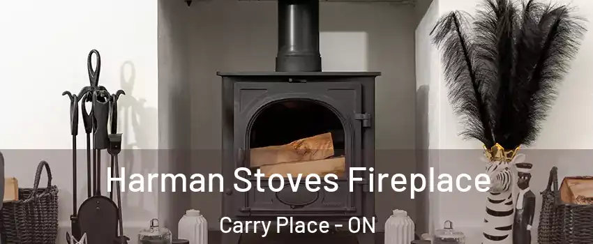  Harman Stoves Fireplace Carry Place - ON