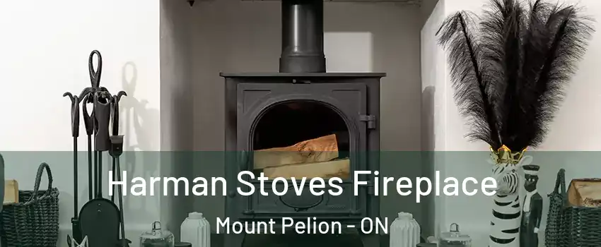  Harman Stoves Fireplace Mount Pelion - ON