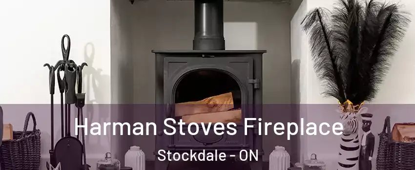  Harman Stoves Fireplace Stockdale - ON