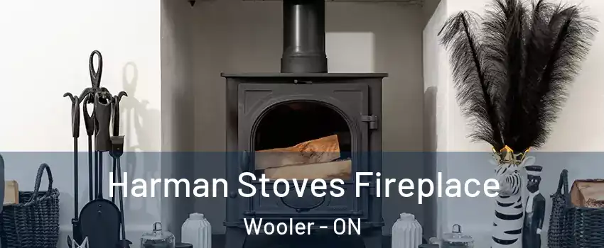  Harman Stoves Fireplace Wooler - ON