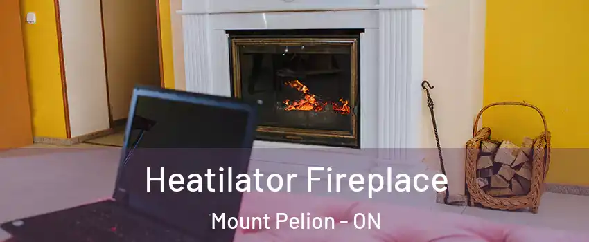  Heatilator Fireplace Mount Pelion - ON