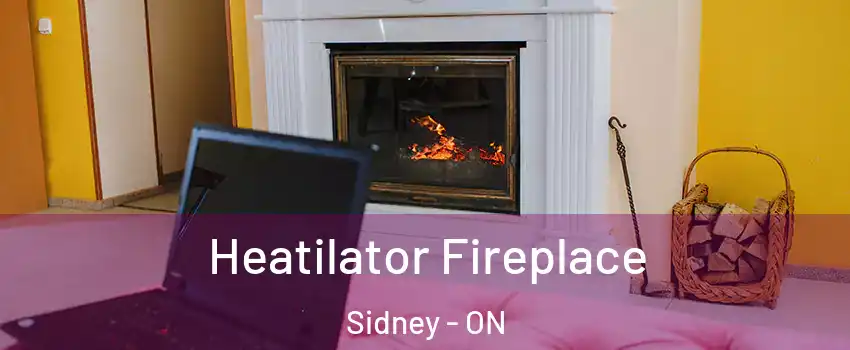  Heatilator Fireplace Sidney - ON