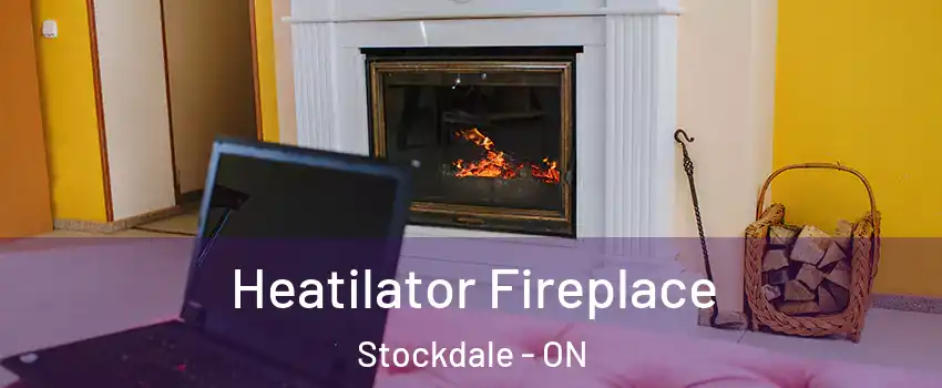  Heatilator Fireplace Stockdale - ON