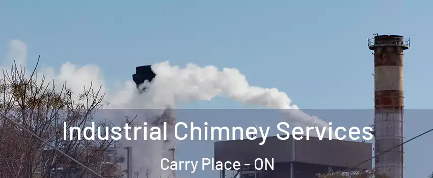  Industrial Chimney Services Carry Place - ON