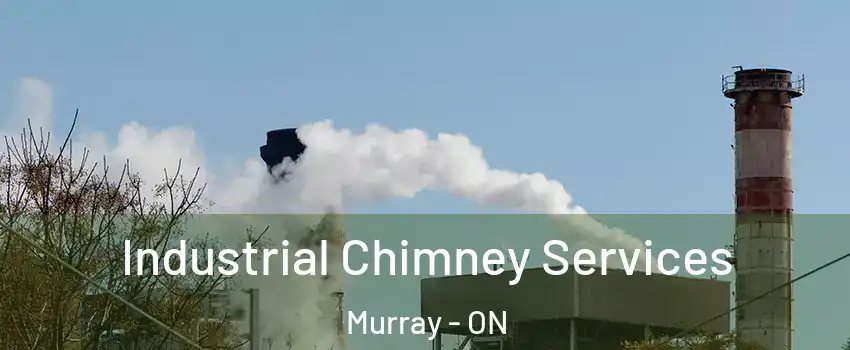  Industrial Chimney Services Murray - ON