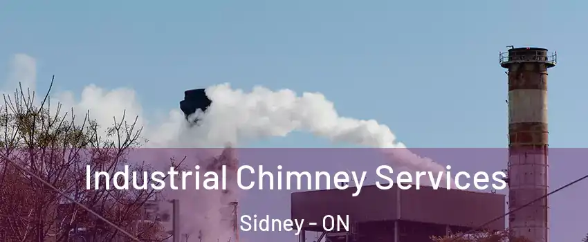  Industrial Chimney Services Sidney - ON