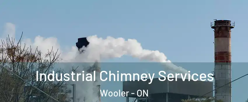  Industrial Chimney Services Wooler - ON