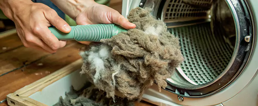 Best Dryer Lint Removal Company in Quinte West, Ontario