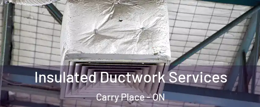  Insulated Ductwork Services Carry Place - ON