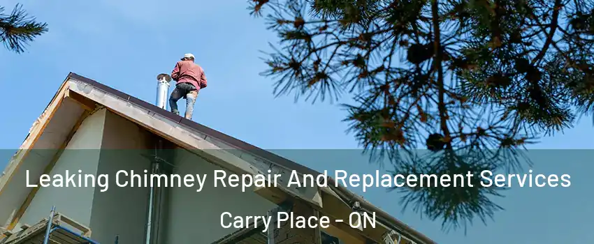  Leaking Chimney Repair And Replacement Services Carry Place - ON